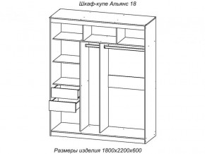 Шкаф-купе Альянс 18 комплект зеркал №4 в Кизеле - kizel.magazinmebel.ru | фото - изображение 2